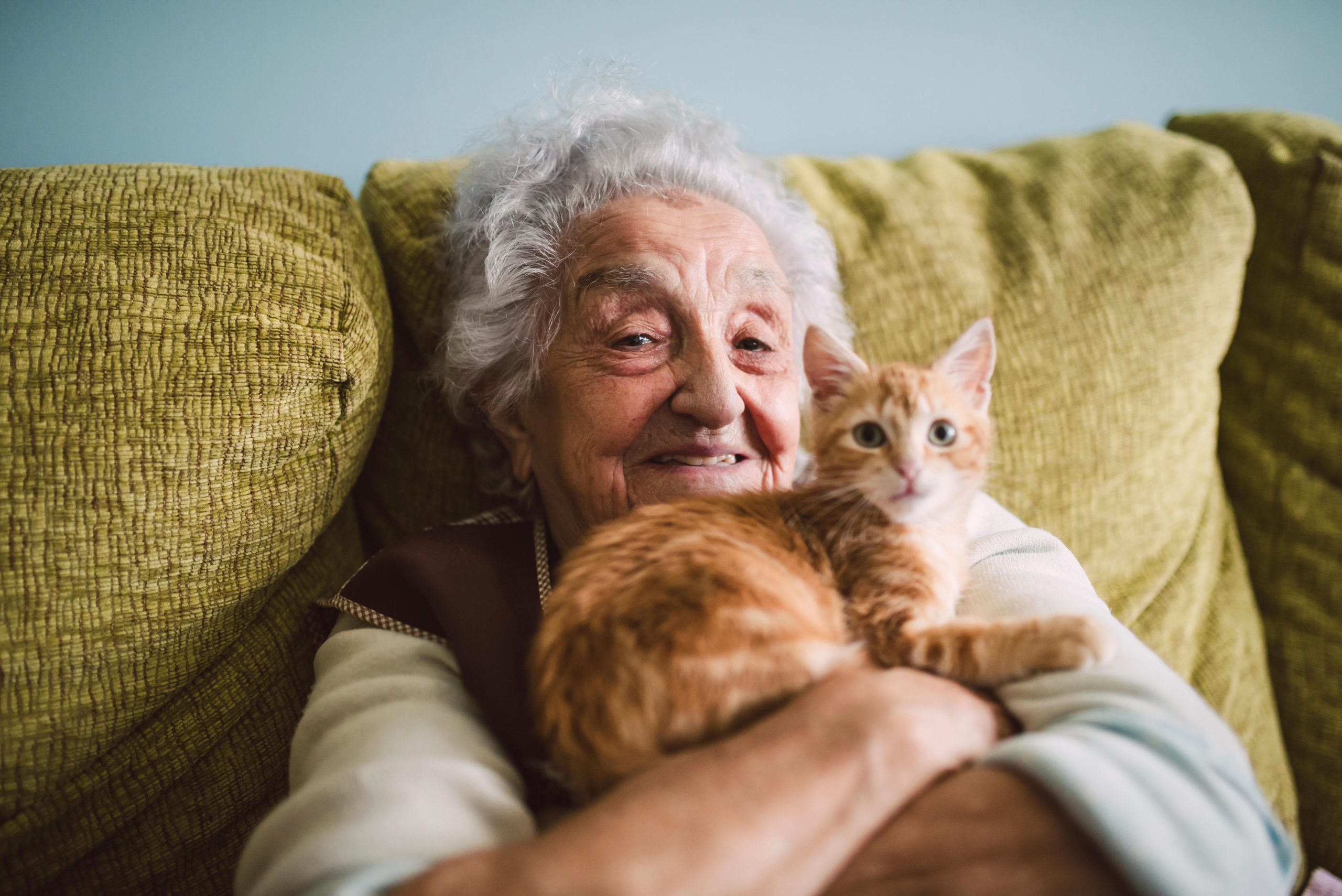Portrait of happy senior woman cuddling with her cat on the couch